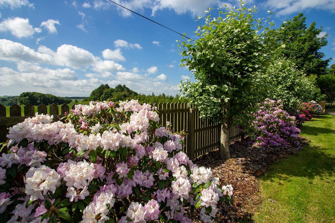 Home Farm B&B - Sunflower Room Forfar Exterior foto